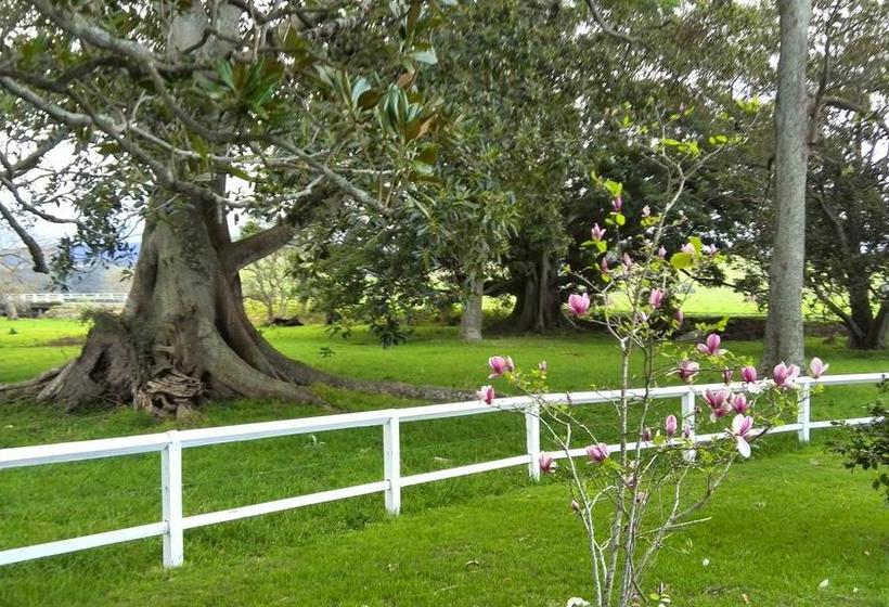 צימר Terragong 1858