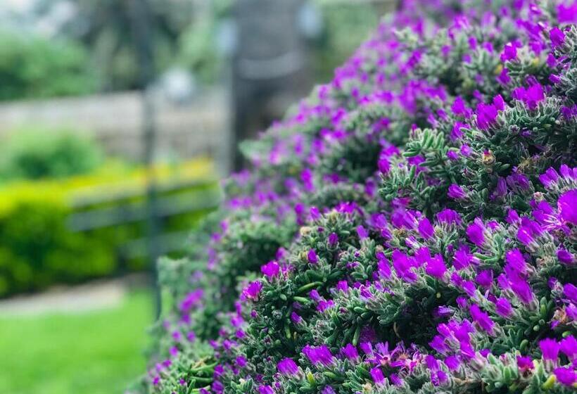 민박 Villino Gregoraci Relais