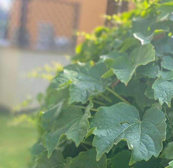 민박 Villino Gregoraci Relais