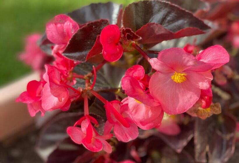 민박 Villino Gregoraci Relais