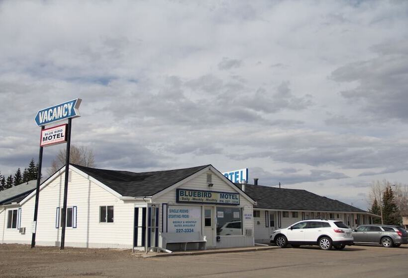 Bluebird Motel