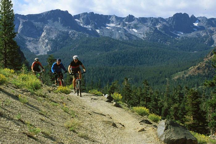 Family Hotel Restaurant Ring