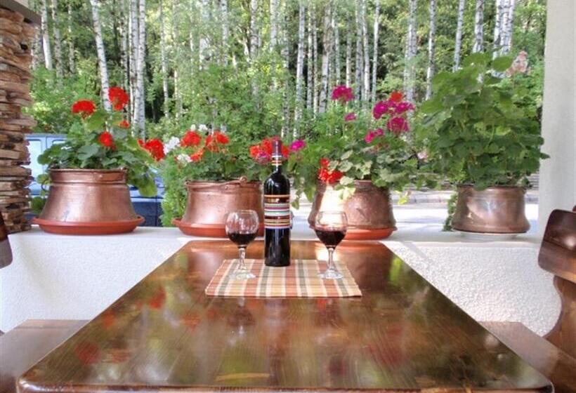 Family Hotel Emaly 2