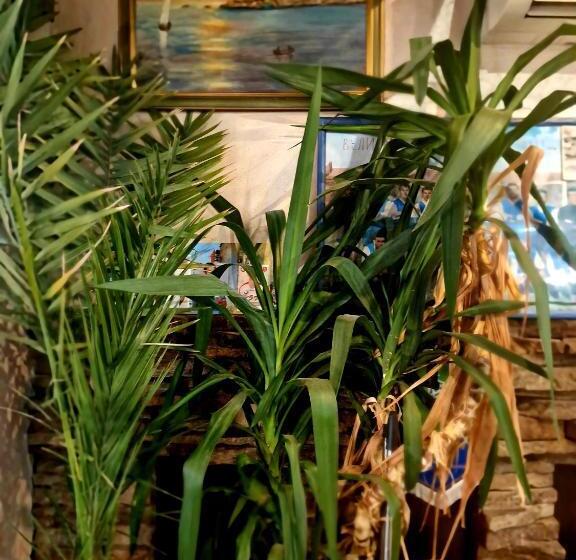 Family Hotel Four Seasons Tsarevo