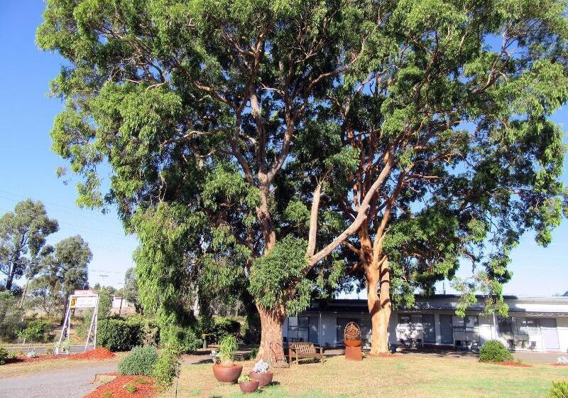 The Highlander Motel   24hr Check In