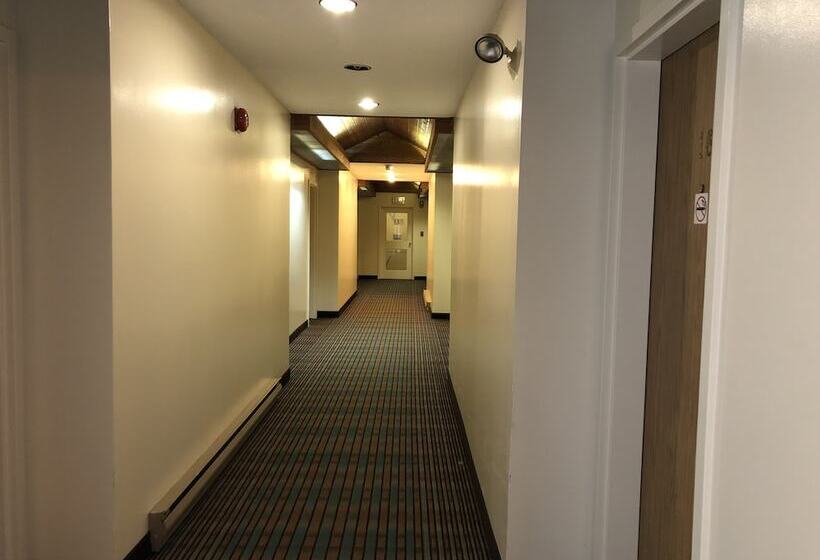 فندق Agassiz Park Lodge