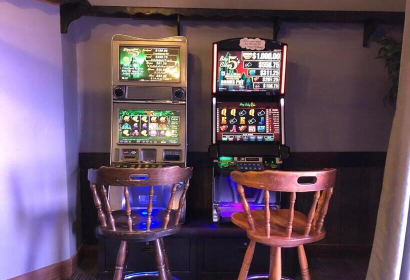 فندق Agassiz Park Lodge