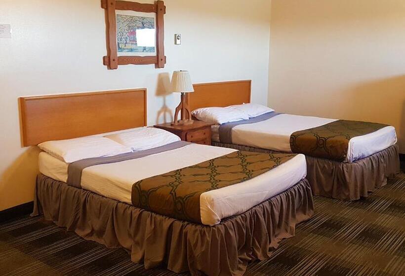 فندق Agassiz Park Lodge