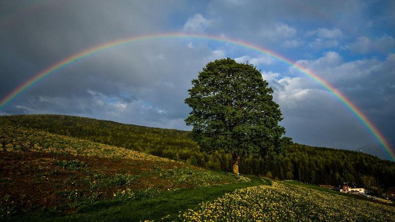 בית מלון כפרי Amaten