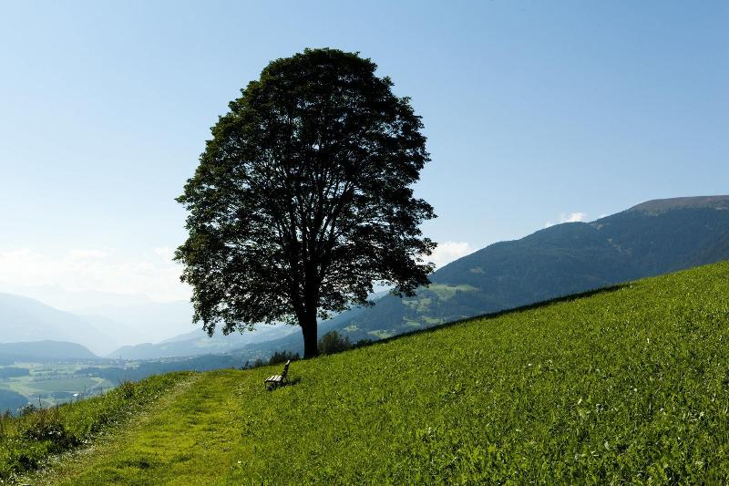 בית מלון כפרי Amaten