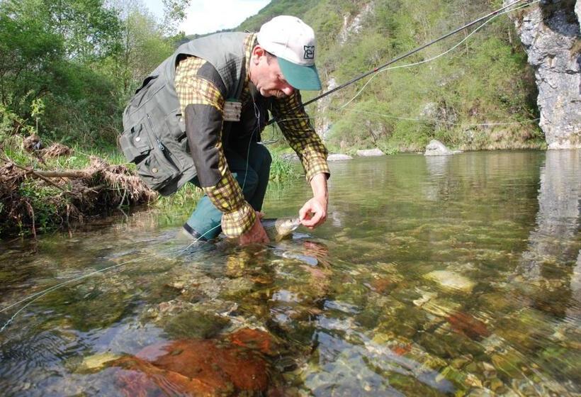 בית מלון כפרי Aurora