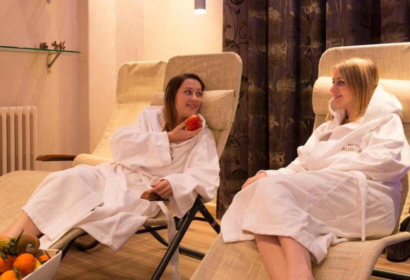 בית מלון כפרי Aurora