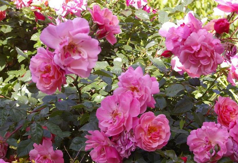 Отель Bel Tramonto