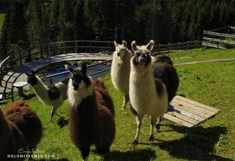 فندق Chalet Nel Doch Villa Cheia