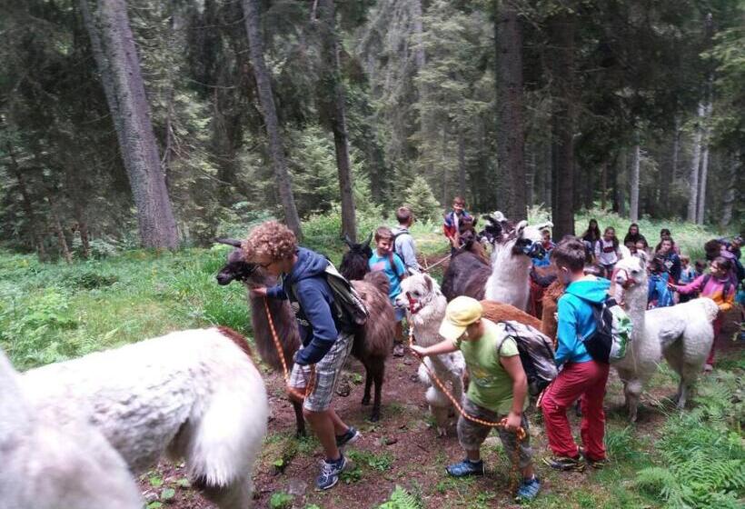 فندق Chalet Nel Doch Villa Cheia