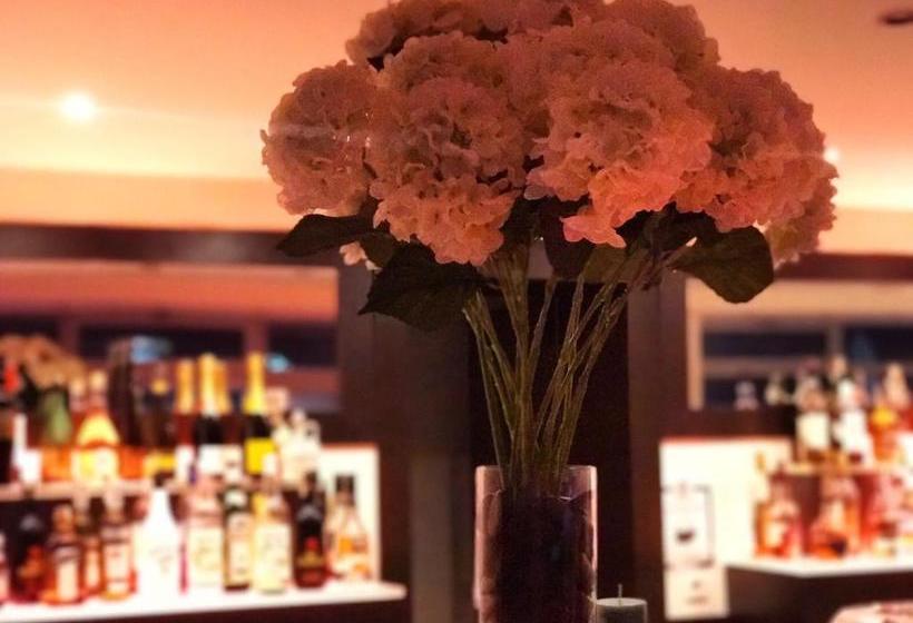 酒店 Dodo Beach Club Adults Only