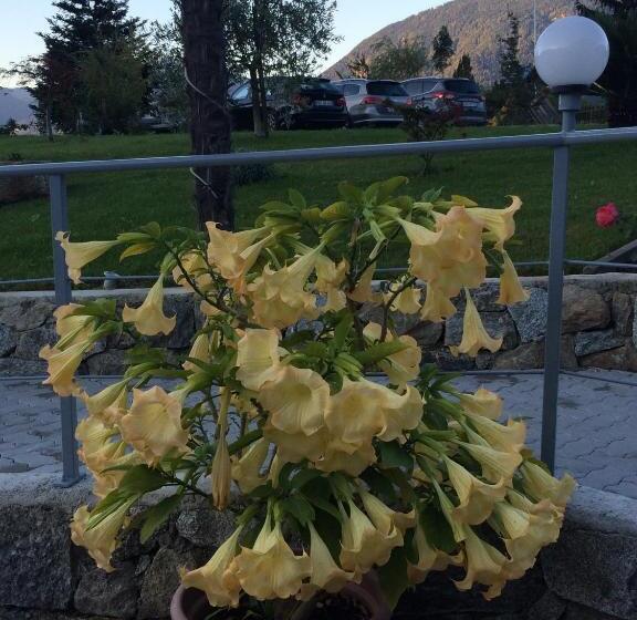 ホテル Garni Schneeburghof