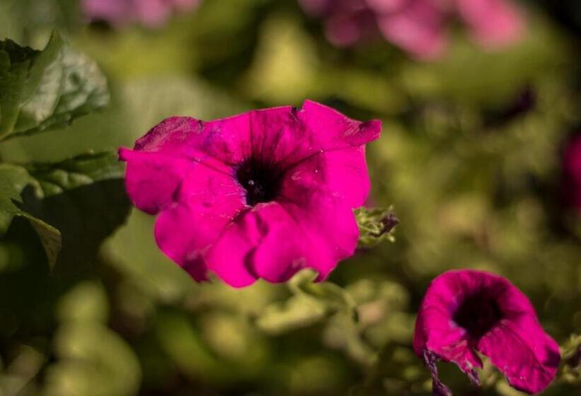 酒店 Gasthof Wastl