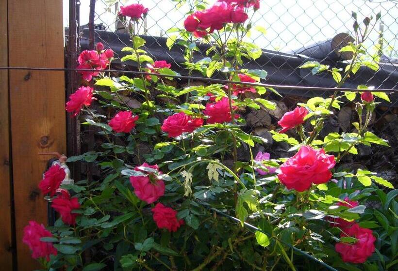 酒店 Gasthof Wastl