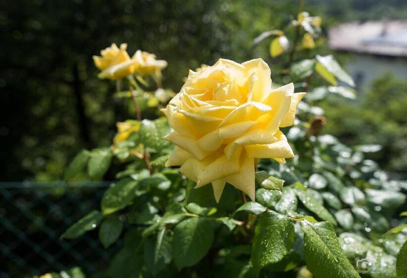 בית מלון כפרי Kreuzstein Bed&breakfast