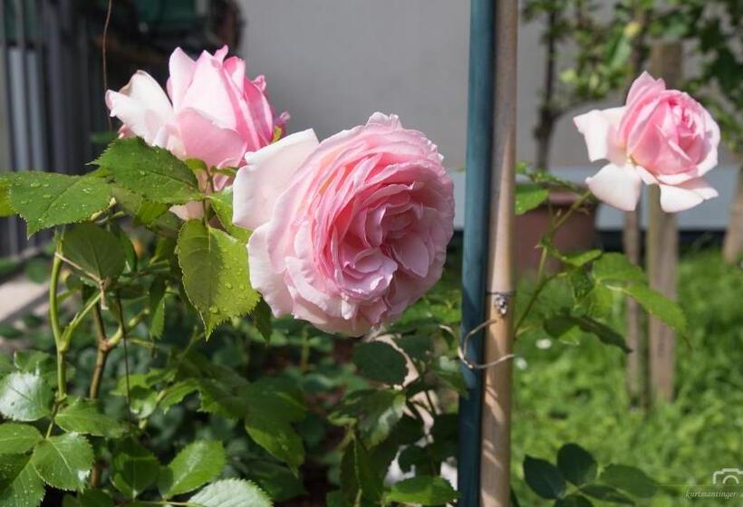 בית מלון כפרי Kreuzstein Bed&breakfast