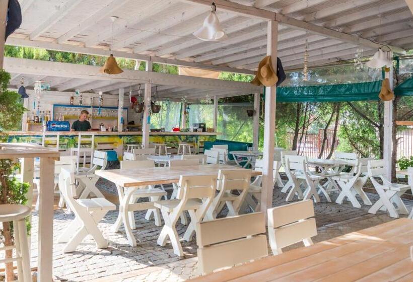 호텔 Lozenets Resort