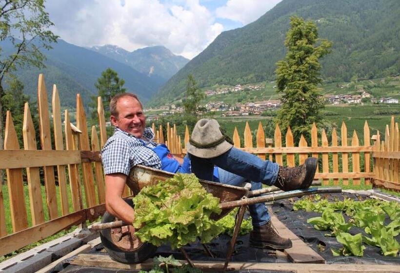 בית מלון כפרי Pippo