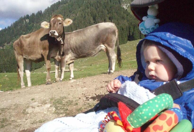 בית מלון כפרי Serenella