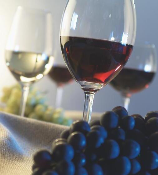 酒店 St. Justina Hof