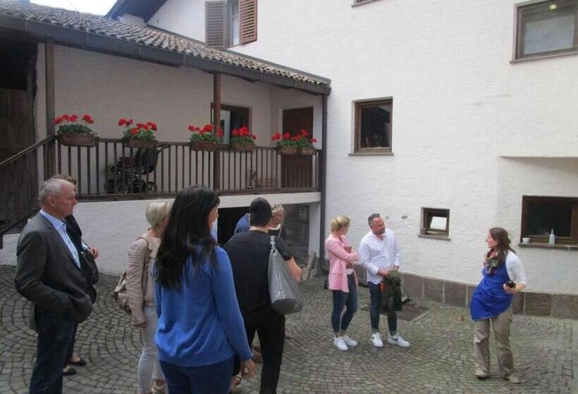 בית מלון כפרי Steinegger