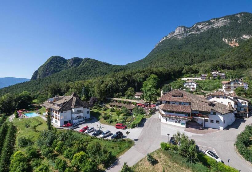 בית מלון כפרי Steinegger