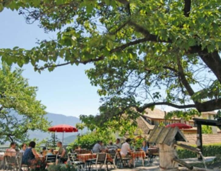 בית מלון כפרי Steinegger