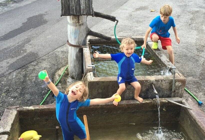 בית מלון כפרי Steinegger