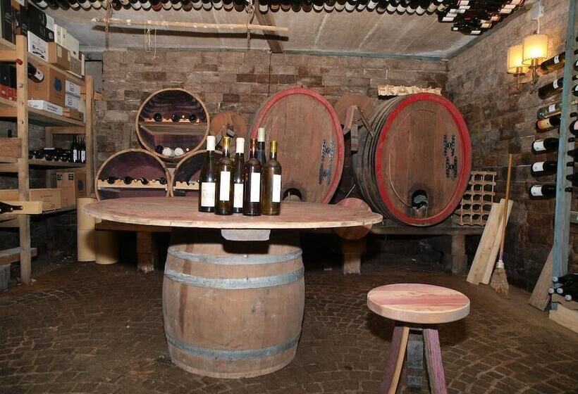 בית מלון כפרי Steinegger