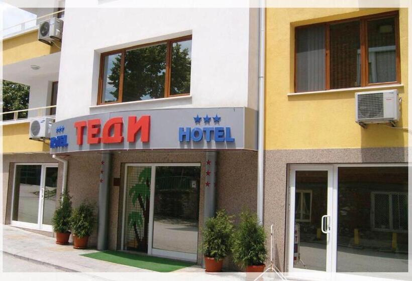 Отель Tedi