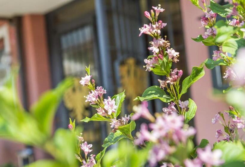 ホテル Zum Tiroler Adler