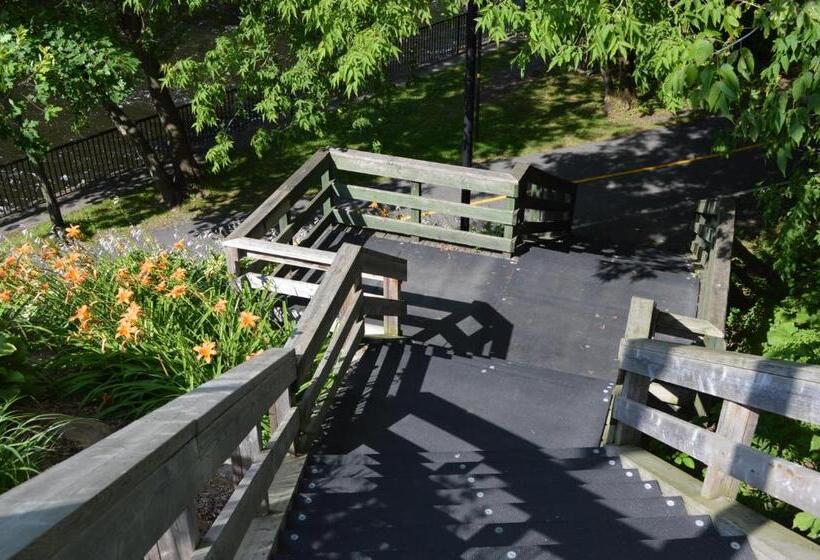 La Maison Collins B&b