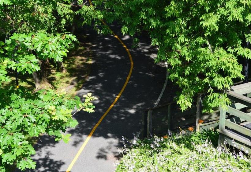 La Maison Collins B&b