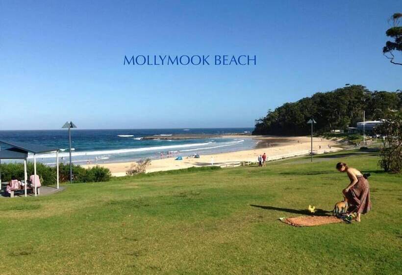 מוטל Beachhouse Mollymook