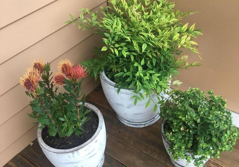 Noah's Stanley Luxury Bed And Breakfast