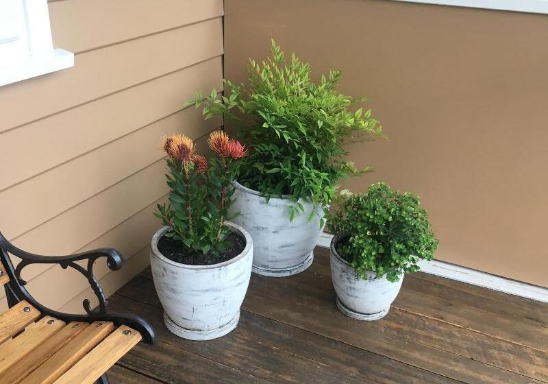 Noah's Stanley Luxury Bed And Breakfast