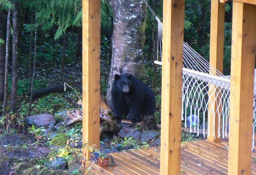 Resort Ecoscape Cabins