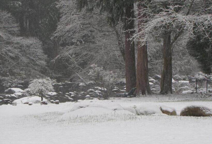 Riverfront Bed And Breakfast