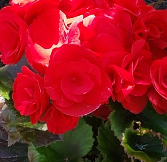 Serendib Bed And Breakfast