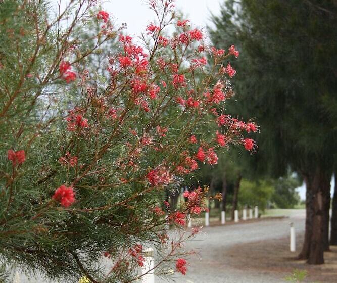 The Heights Bed & Breakfast