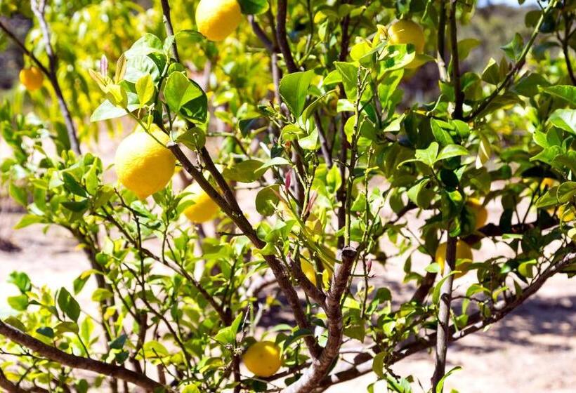 The Heights Bed & Breakfast