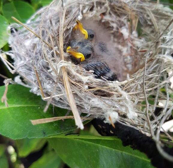 The Heights Bed & Breakfast