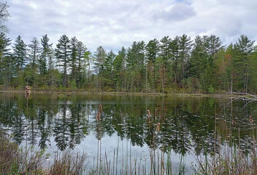 فندق صغير The Saints Suites At Nccc