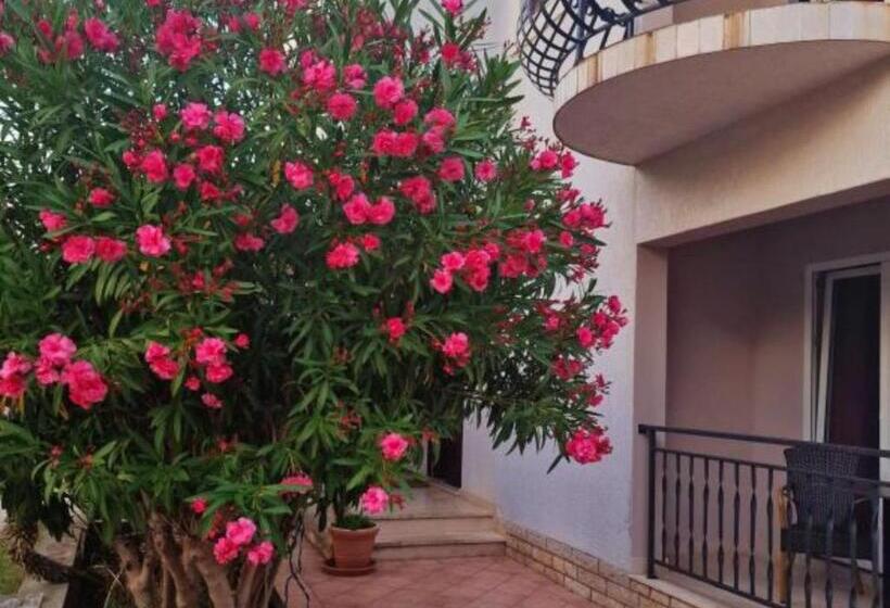 민박 Pansion Belvedere