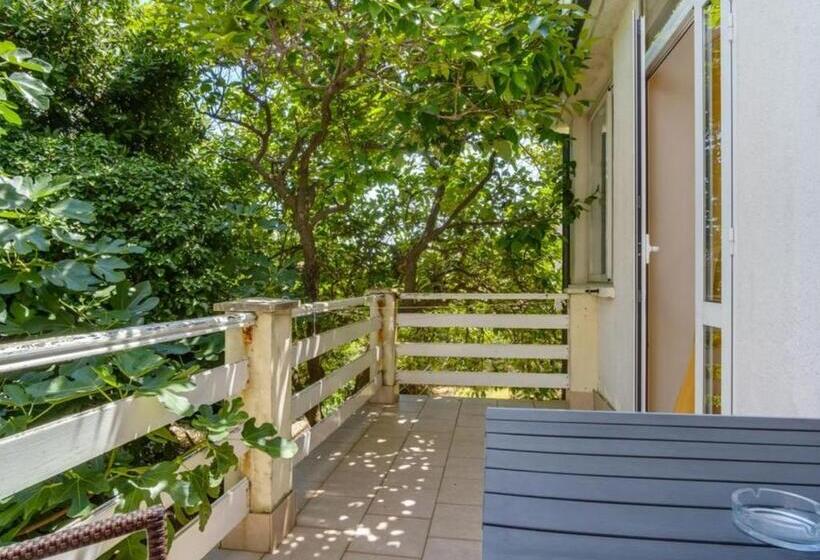 민박 Pansion Belvedere